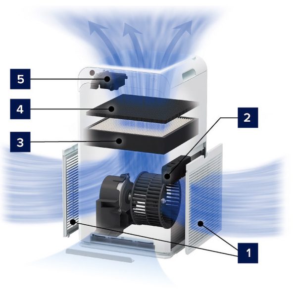  - Image 3
